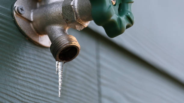 Best Plumbing Inspection Services  in Machesney Park, IL